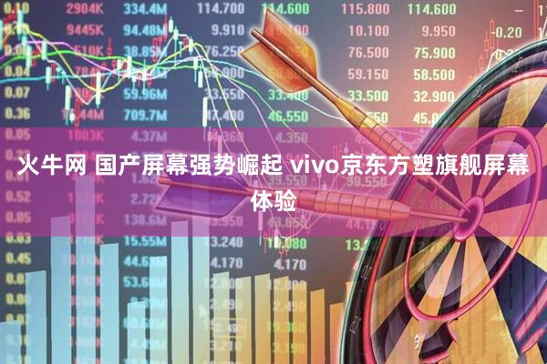 火牛网 国产屏幕强势崛起 vivo京东方塑旗舰屏幕体验
